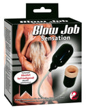 Blow Job Sensation