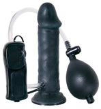 Temptation Black Vibrator