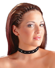 Laden Sie das Bild in den Galerie-Viewer, Samt-Halsband
